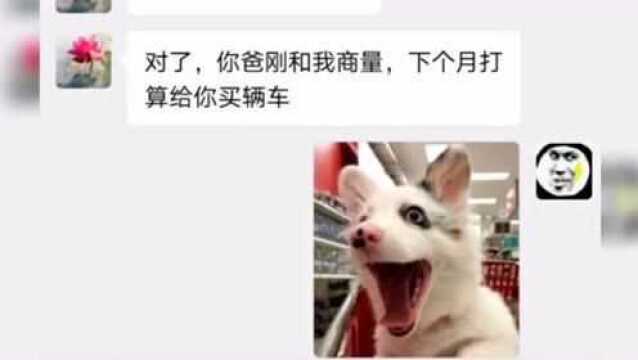 直男搞笑聊天:幸福来得快,去的也快