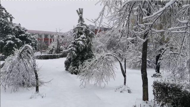 这才是冬天应该有的样子 冰雪过后的公园 别有一番风景