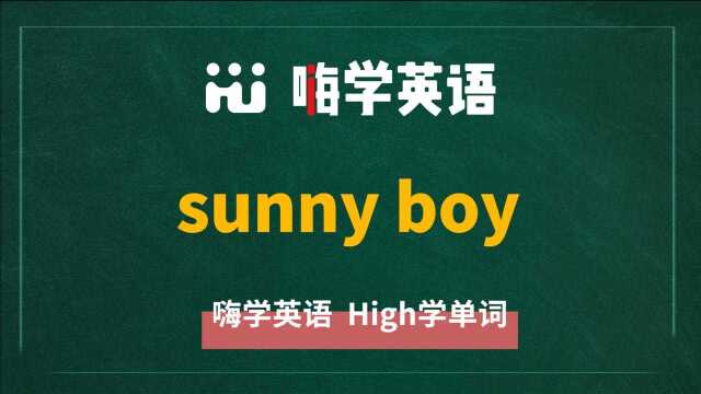 英语单词讲解 短语sunny boy的翻译、读音、相关词、使用方法讲解