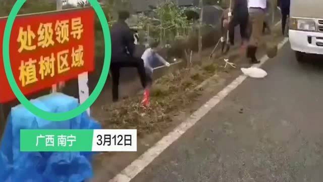 广西一地设“处级领导植树区”?官方:小王工作失误,我们深表歉意!