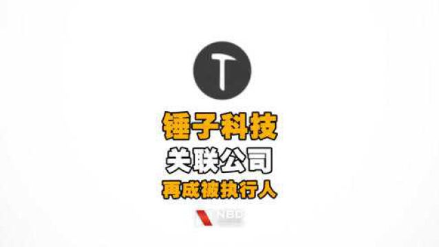 锤子科技关联公司再成被执行人,执行标的超58万元