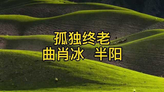 听这首好听歌曲《孤独终老》