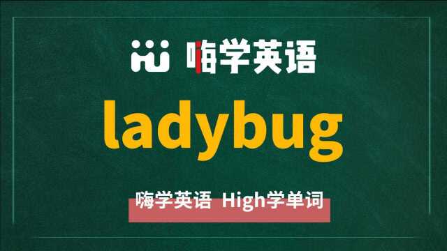 英语单词ladybug是什么意思,同根词有吗,同近义词有哪些,相关短语呢,可以怎么使用,你知道吗