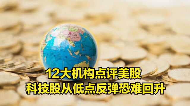 12大机构点评美股:科技股从低点反弹,但恐难继续强劲回升