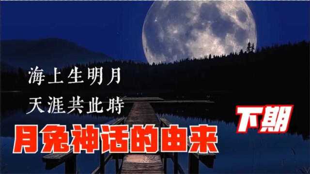 揭开月兔之谜:兔子为了让老人活下去,自己跳进火堆里当了食物