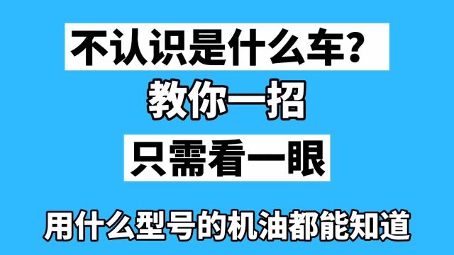 用VIN车架号了解车辆价格尺寸机油等30多项数据