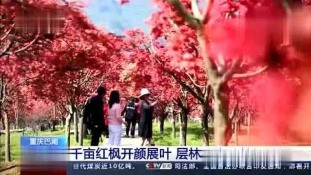 巴南又上央视,向全国人民展“朱颜”!