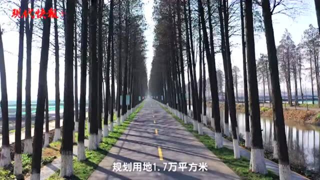 “大美高淳”云展厅上线,足不出户“走进”慢城