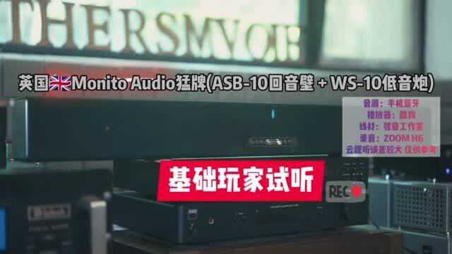 猛牌ASB10+WS10回音壁试听