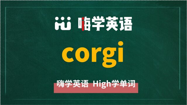 英语单词corgi讲师讲解,动动脑袋想一想,它是什么意思,可以怎么使用