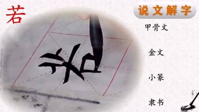 田楷《心经》“若”字书法,“若”字说解(4)——写好汉字一笔一画,读懂汉字前世今生.