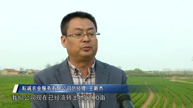 视频| 乳山:探索农业服务新模式 助力乡村振兴