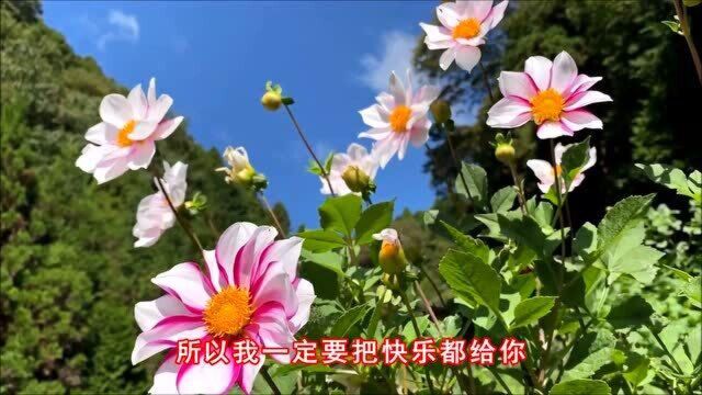 唐冰冰一曲DJ《珍惜今生的缘》好听又痴情,致我在乎的人!