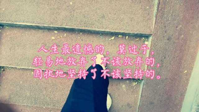 不要轻言放弃,在坚持坚持