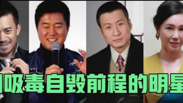 盘点因吸毒自毁前程的14位明星,你觉得谁最可惜?