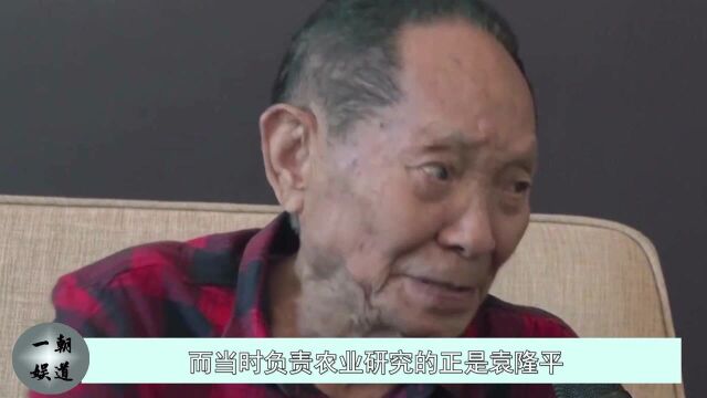 “水稻之子”袁定阳:继承袁隆平衣钵,媳妇遭到“刁难”5年才进家门!