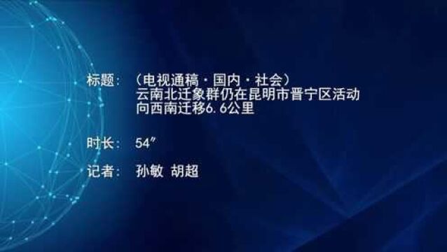 (电视通稿ⷥ›𝥆…ⷧ侤𜚩云南北迁象群仍在昆明市晋宁区活动 向西南迁移6.6公里