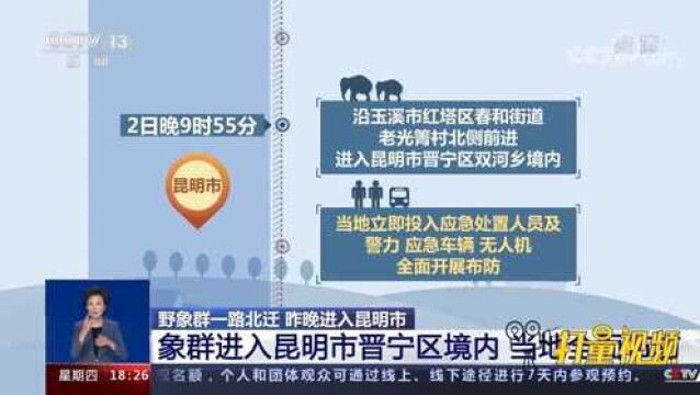 关注!云南野象群进入昆明市晋宁区境内,当地全面布防