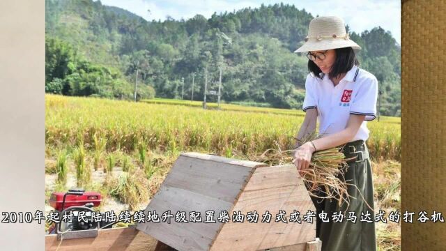 城里人一定不知道,中国南方农村20年的变化