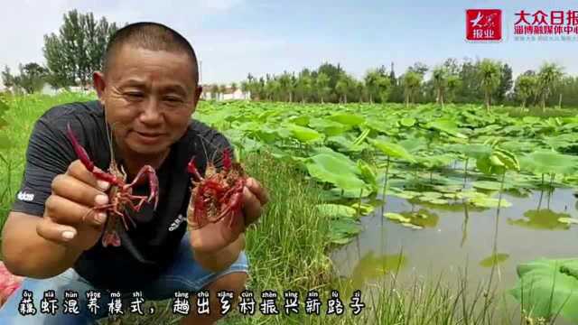 高青县美丽乡村景如画 锚定产业致富路