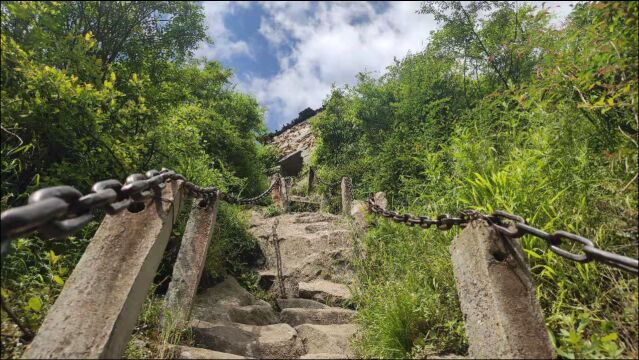 独自挑战秦岭终南山嘉五台,朝天梯上碰见一只黄狗,这里犹如华山鹞子翻身,不知道谁先爬山去呢?