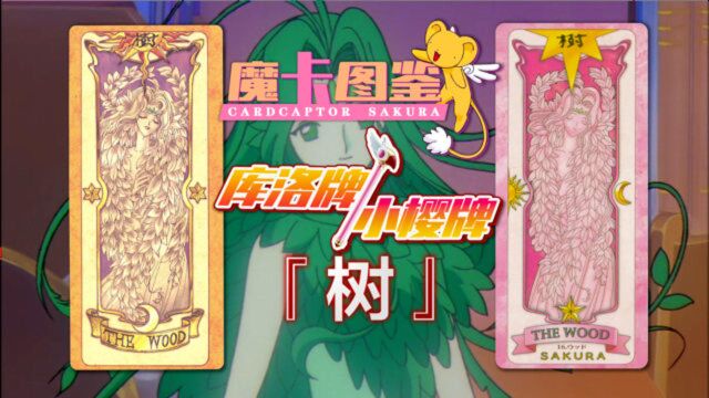 【魔卡图鉴5】 库洛牌 小樱牌:树 魔卡少女樱 百变小樱