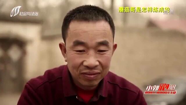 建起了300平米的蘑菇大棚,他成了忻州远近闻名的“大人物”!