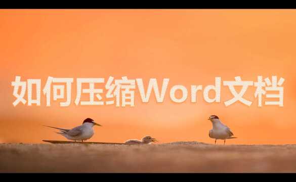 如何压缩Word文档?