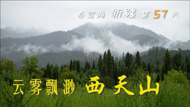 冒雨进入西天山自然保护区,云雾飘渺,陷车自救吓出一身冷汗