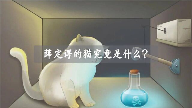 薛定谔的猫,究竟是什么?它到底蕴含着什么秘密?