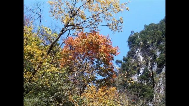 青海省西宁市湟中县塔尔寺