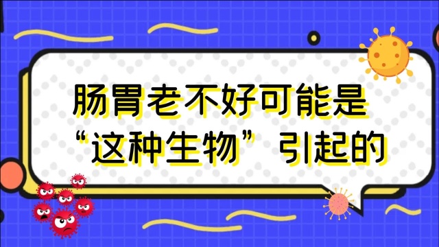 肠胃老不好可能是“这种生物”引起的