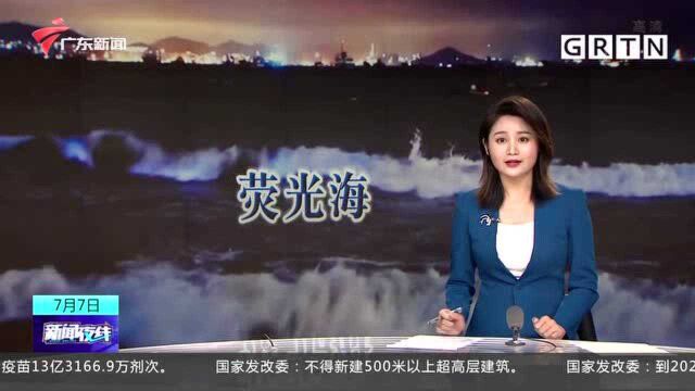 辽宁大连:海域出现荧光海梦幻景致 宛若蓝色星河