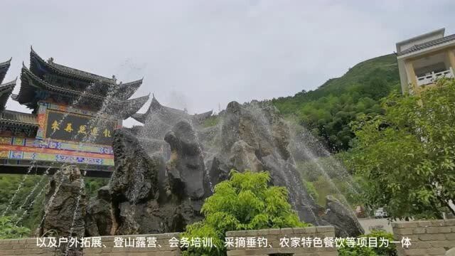 依山而建,青山绿水,翠竹郁葱的网红之地,打卡龙凤山景区