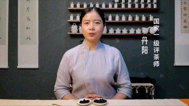 碎银子,茶化石真的是茶吗