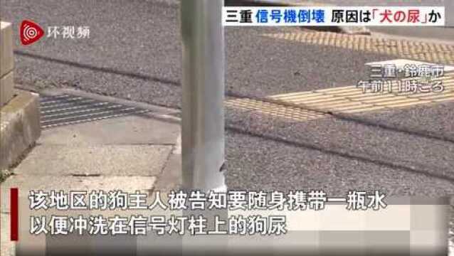 日本一根6米高交通信号灯柱倒塌 原因竟是狗尿腐蚀