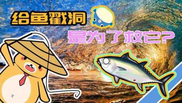 放生大海的鱼,为什么要在肚子上戳个洞,不戳它就活不了吗?#“知识抢先知”征稿大赛#