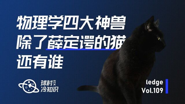 物理学四大神兽,除了薛定谔的猫,还有谁?