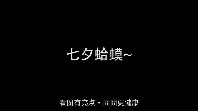 您好,我是您亲友七夕为您预定的七夕蛤蟆~