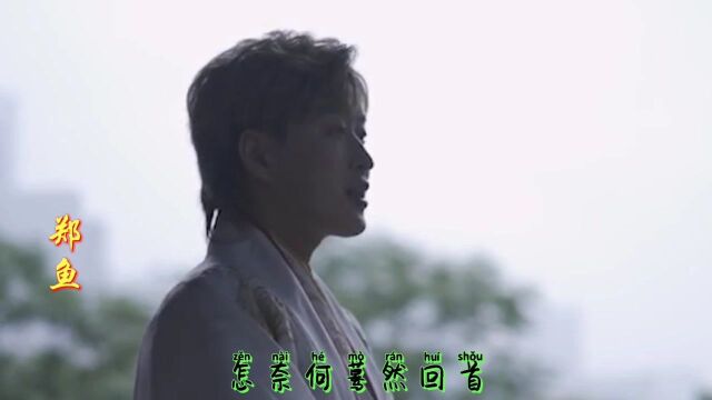 热门古风歌曲《怎叹》原唱翻唱齐上阵一次听个够