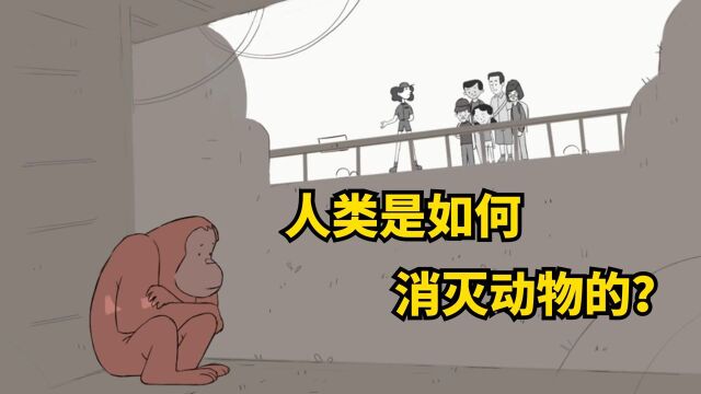 人类是如何消灭动物的?狮子老虎全关进笼里,与偷猎者别无两样#电影HOT短视频大赛 第二阶段#