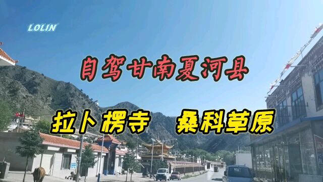 自驾甘南夏河县,拉卜楞寺,桑科草原