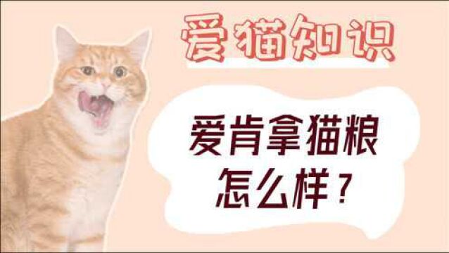 爱肯拿猫粮怎么样?