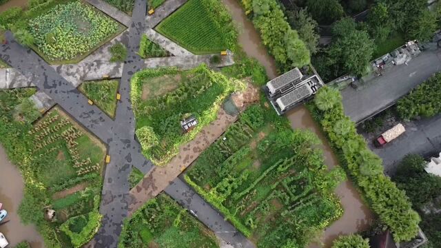 重庆一公司楼顶开2万平方农场让员工耕种:人均10多平 再不用买菜