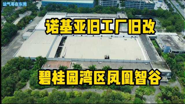 东莞南城诺基亚旧工厂旧改,投资25亿元,建成碧桂园湾区凤凰谷