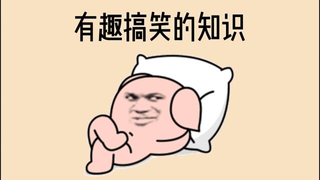 有趣搞笑的冷知识,光头的人也会有头皮屑?看刨刨把大大小小冷知识都给你刨出来