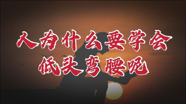 人为什么要学会低头弯腰?有时候低头弯腰,恰恰是为了日后挺胸抬头!