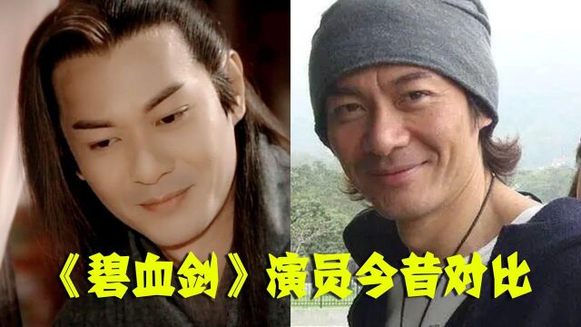 《碧血剑》演员今昔对比,夏雪宜变“油腻大叔”,阿九才是不老女神