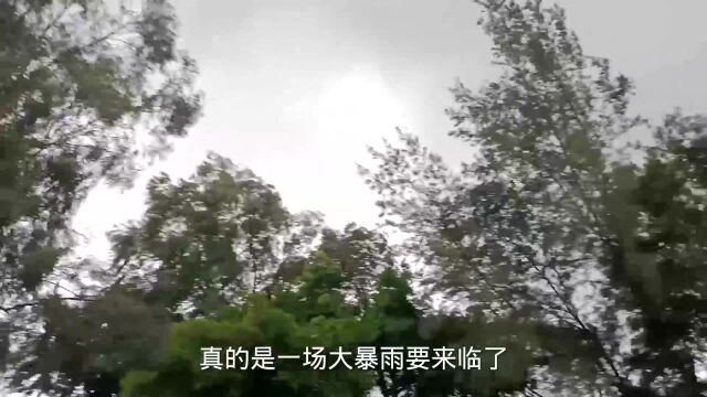 实拍:就在刚刚湖南农村,狂风暴雨来袭,看着太吓人!