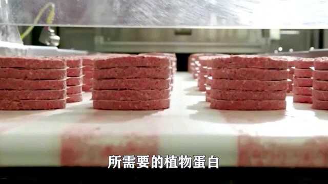 美国研究人造肉,连狗都不吃,竟然忽悠我国人!